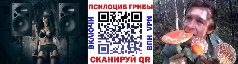 Галлюциногенные грибы Magic Shrooms  Купить закладки  Покачи 